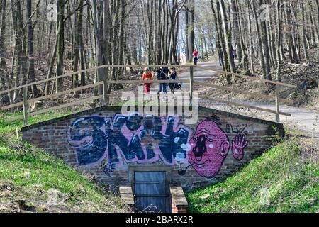 Vienne, Autriche. Lainzer Tiergarten. Aire de loisirs et destination populaire pour la population locale et les touristes à Vienne. Banque D'Images