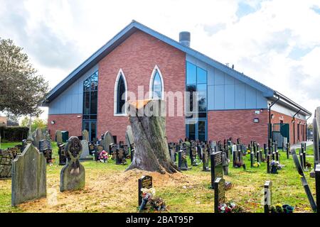 Souche d'un grand arbre dans le cimetière de l'église St Pierre, Elworth Sandbach Cheshire UK Banque D'Images