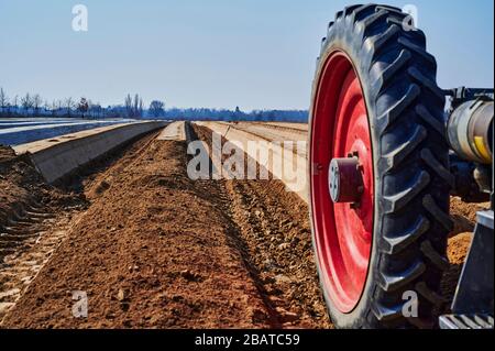 Vous regardez devant un tracteur sur un champ d'asperges en Allemagne. La mise au point se situe au milieu, le tracteur est un peu hors de la mise au point au premier plan. Banque D'Images