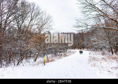 Couple marchant sur un sentier couvert de neige dans une forêt du Midwestern Banque D'Images