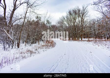 Sentier couvert de neige de curvy dans une forêt du Midwestern en hiver Banque D'Images