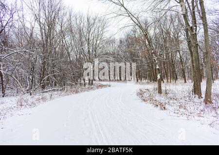 Sentier couvert de neige de curvy dans une forêt du Midwestern en hiver Banque D'Images