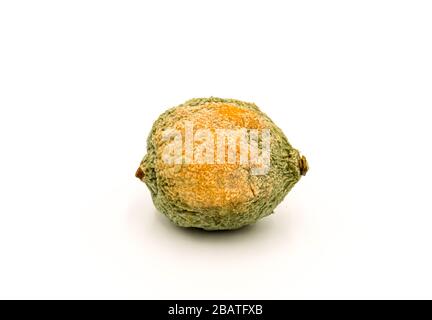 Gros plan d'un demi-citron pourri sur fond blanc Banque D'Images