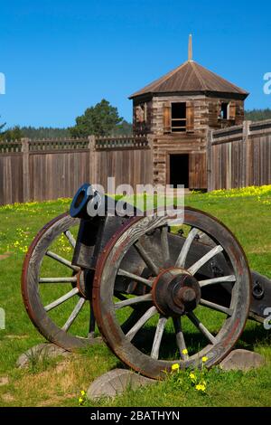 Blockhouse du nord-ouest avec canon, parc historique de l'État de fort Ross, Californie Banque D'Images