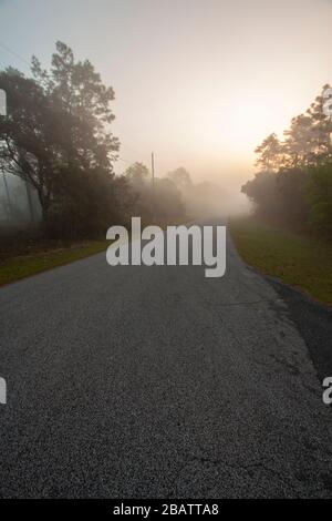 Campagne, route de campagne dans le brouillard lourd à la pause de jour Banque D'Images