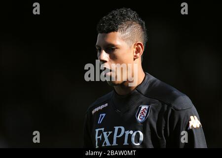 Matthew Briggs, Fulham Banque D'Images