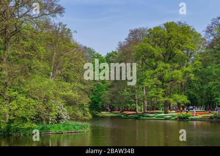 Tulipes en fleurs dans le jardin botanique de Keukenhof. Lisse, Hollande-Méridionale, Pays-Bas, Europe. Banque D'Images