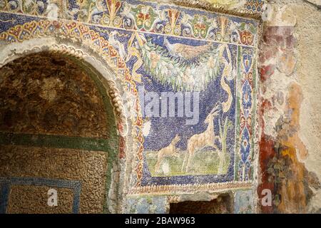 Mosaïque dans la Maison de Neptune et Amphitrite, Herculaneum Banque D'Images