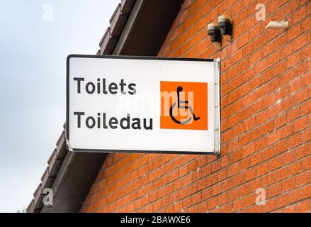 MI-PAYS DE GALLES, GRANDE-BRETAGNE - JUILLET 2018: Signe à l'extérieur d'un bâtiment, la traduction anglaise des mots gallois "Toiledau" est "Toilets". Banque D'Images