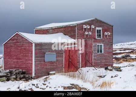 Red stage avec sept maisons d'oiseaux dans Joe Batt's Arm sur l'île Fogo, Terre-Neuve, Canada [pas de mainlevée de propriété; disponible pour licence éditoriale seulement] Banque D'Images