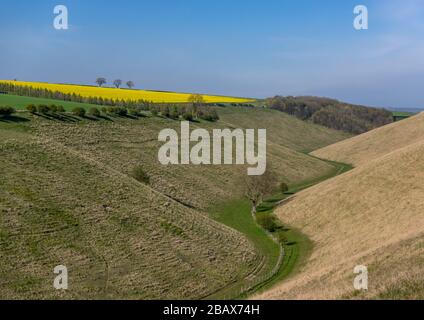 Vue sur la vallée de Horse Dale A dans les Wolds, près de Huggate, une journée ensoleillée. Banque D'Images