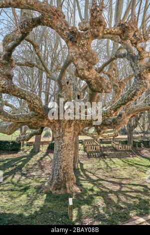 Jardin Secret, dans le monastère bénédictin de San Salvador dans la ville de Oña, province de Burgos, Castille et Leon, Espagne Banque D'Images