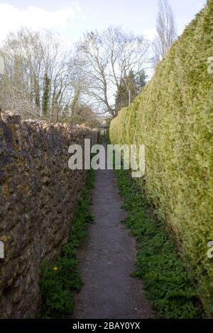 Sentier étroit avec mur de pierre d'un côté et haie de l'autre côté, Angleterre Banque D'Images