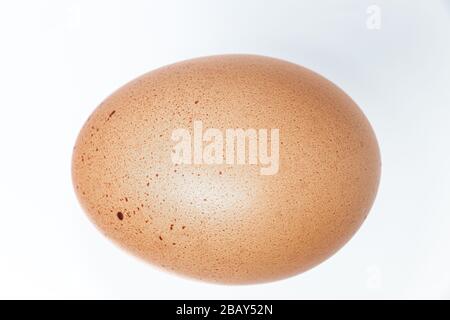 Oeuf de ferme biologique isolé sur fond blanc. Poulets œufs de zones écologiquement propres Banque D'Images