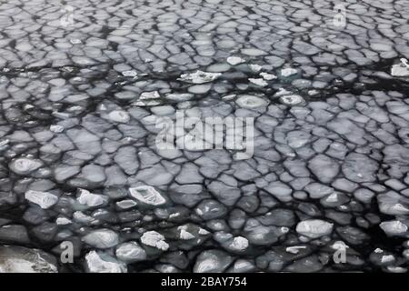 Motifs de glace pancake sur la rive de l'eau salée au large de l'île Fogo, Terre-Neuve, Canada Banque D'Images