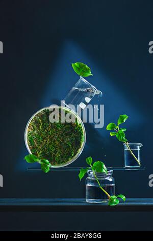 Équilibrage des bocaux et des bouteilles de laboratoire, sculpture en verre, concept de ressort avec frais Banque D'Images