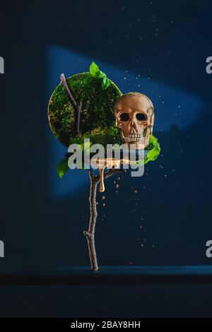Crâne doré avec mousse et branches, concept de vie et de mort dans l'équilibre Banque D'Images