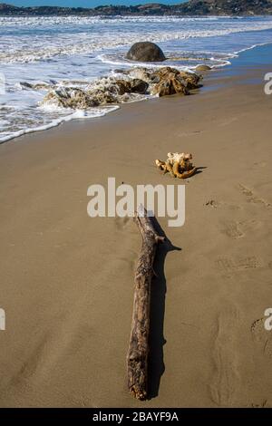 Concrétions géologiques de calcite connues sous le nom de Moeraki Boulders, sur la plage de Koekohe, sur la côte d'Otago en Nouvelle-Zélande. Bois de Javotte et algues. Banque D'Images