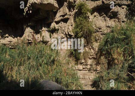 Une oasis verte avec une chute d'eau et des lacs dans le parc national Ein Gedi en Israël sur la mer Morte Banque D'Images