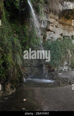 Une oasis verte avec une chute d'eau et des lacs dans le parc national Ein Gedi en Israël sur la mer Morte Banque D'Images