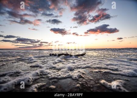 Dierhagen, Allemagne. 29 mars 2020. Dierhagen - Ost, Allemagne Mars 2020 Ostseestrand - Mars - 2020 Sunset/Sea/Flood/Driftwood | usage dans le monde crédit: dpa/Alay Live News Banque D'Images