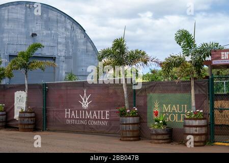 Hali'imaile, Maui, Hawaï, où deux producteurs locaux, Maui Gold et Pau Vodka, ont commencé à produire de l'aseptisant pour le covid-19 Banque D'Images