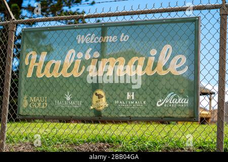 Hali'imaile, Maui, Hawaï, où deux producteurs locaux, Maui Gold et Pau Vodka, ont commencé à produire de l'aseptisant pour le covid-19 Banque D'Images