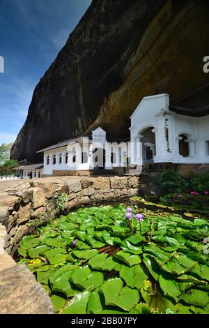 Temple Dambulla Rock, site classé au patrimoine mondial de l'UNESCO, avec bassin de nénuphars. Sri Lanka Banque D'Images