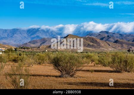 Une vue sur le désert de Tabernas à Pago Aguilar est (dans la province d'Almeria, en Espagne Banque D'Images