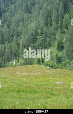 Trekking dans le Trentin vers Lac Erdemolo Banque D'Images