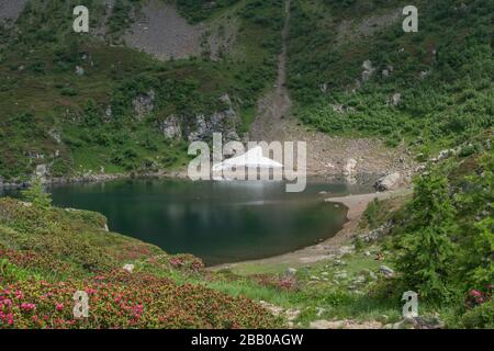 trekking dans le trentin vers le lac erdemolo, partout est vert et plein de feuillage luxuriant Banque D'Images