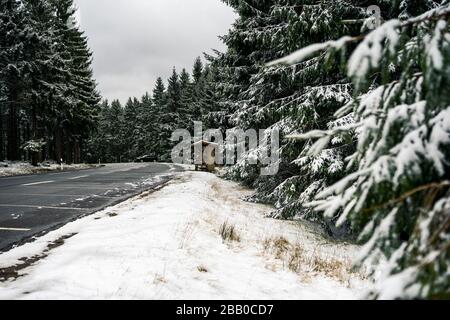 route courbée d'asphalte humide dans la forêt de pins enneigés Banque D'Images