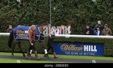 Kauto Star cinq fois gagnant du King George VI Steeple Chase paraading au Kempton Park Banque D'Images