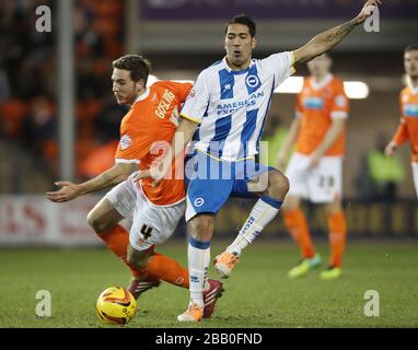 DaN Gosling de Blackpool (à gauche) et Leonardo Ulloa de Brighton et Hove Albion en action Banque D'Images