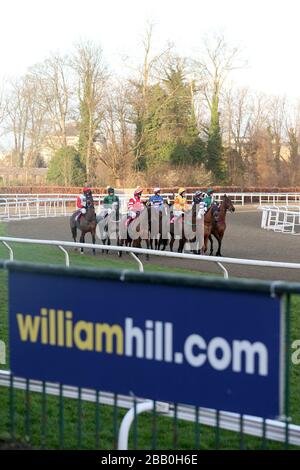 Les coureurs et les coureurs se préparent pour le début du William Hill - Bet sur le Move handicap Chase au deuxième jour du festival d'hiver de William Hill 2013 à l'hippodrome de Kempton Park Banque D'Images