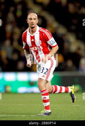 Stephen Ireland, Stoke City Banque D'Images