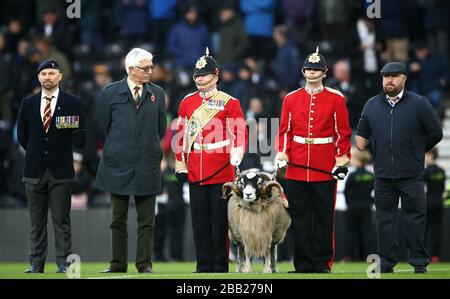 La mascotte de RAM du Régiment du Mercien sur le terrain pour la journée du souvenir avant le lancement Banque D'Images