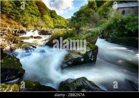 Cenarth Falls Banque D'Images