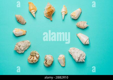 Mise à plat. Vue d'en haut. Cadre de coquillages de toutes sortes sur un fond bleu. Les coquillages et d'étoiles sur un fond pastel. Locations de concept Banque D'Images