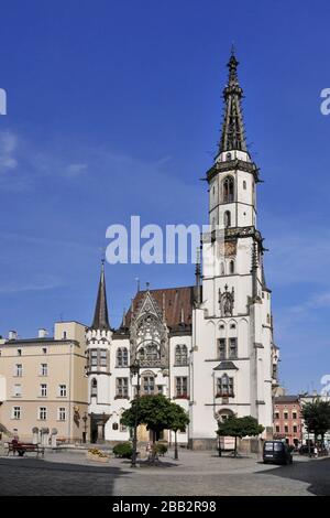 Hôtel de ville. Zabkowice Slaskie, Basse-silésienne Voivodeship, Pologne. Banque D'Images