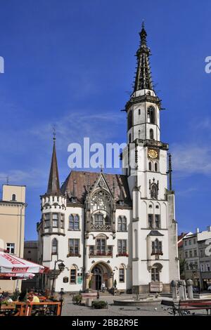 Hôtel de ville. Zabkowice Slaskie, Basse-silésienne Voivodeship, Pologne. Banque D'Images