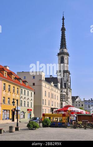 Vue sur l'hôtel de ville. Zabkowice Slaskie, Basse-silésienne Voivodeship, Pologne. Banque D'Images