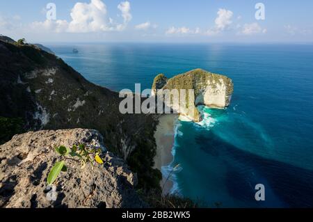 Lieu de photo populaire et destination touristique Kelingking Beach et falaise, sur l'île Nusa Penida, Bali, Indonésie Banque D'Images