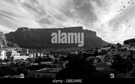 Belle vue de Bo-Kaap ou Malay à la journée ensoleillée avec Table Mountain en arrière-plan avant le coucher du soleil. Photo en noir et blanc. Banque D'Images