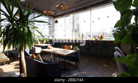 Zone verte avec plantes sur la terrasse avec de grandes fenêtres panoramiques Banque D'Images