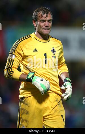 Gardien de but d'Irlande du Nord Roy Carroll Banque D'Images