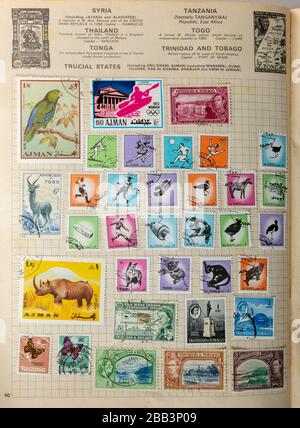 Album de timbres, collecte de timbres, passe-temps, hobbies, philatélie Banque D'Images