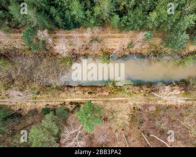 Tir de drone aérien, tout droit, d'une forêt avec rivière ou canal traversant au début du printemps. Lieu: Antitankgracht Kapellen. Édition créative. Banque D'Images