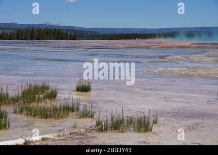 Yellowstone USA - 28 juin 2013 - Yellowstone National Park - piscines géothermiques Banque D'Images