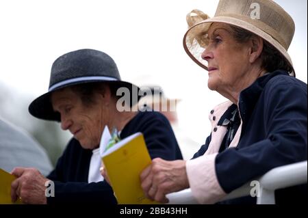 Les amateurs de course s'imprégnent de l'atmosphère de l'hippodrome de Goodwood Banque D'Images